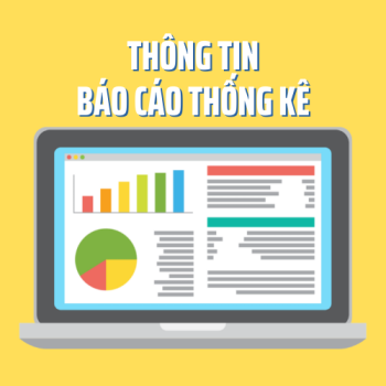 thông tin báo cáo thống kê