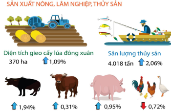 Tình hình kinh tế - xã hội tháng 10 và 10 tháng năm 2021