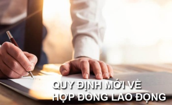 Đề xuất mới về các trường hợp ký hợp đồng lao động trong cơ quan hành chính