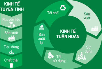 Doanh nghiệp tham gia thử nghiệm phát triển kinh tế tuần hoàn được hưởng ưu đãi gì?