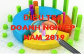 Điều tra doanh nghiệp năm 2019