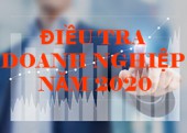 Điều tra doanh nghiệp năm 2020