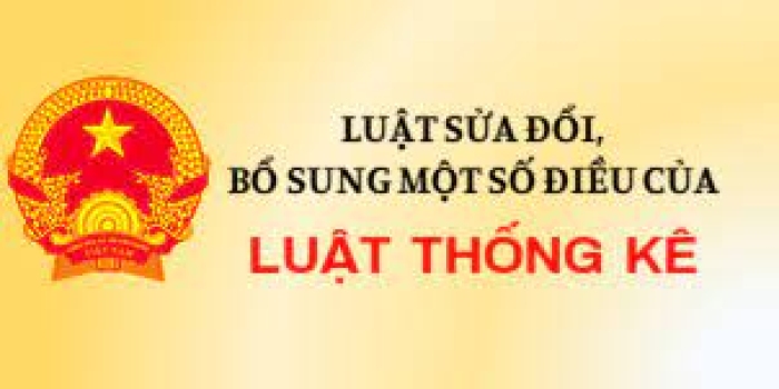 luạt thống kê sửa đổi