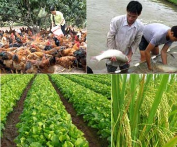 Tin vắn ngày 22/11/2017