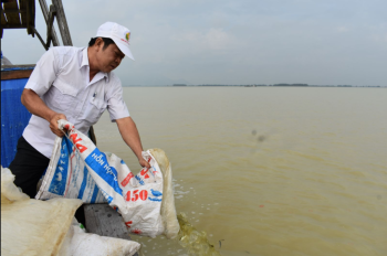 Nghiêm cấm khai thác thủy sản trong thời gian thả cá giống vào hồ Dầu Tiếng