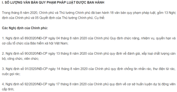 Văn bản QPPL do Chính phủ, Thủ tướng Chính phủ ban hành trong tháng 8/2020