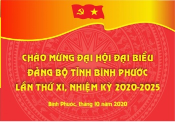 Điểm qua một số thành tựu kinh tế - xã hội, quốc phòng - an ninh nhiệm kỳ 2015-2020