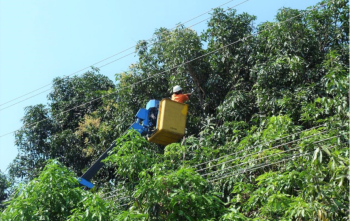 Bảo đảm an toàn công trình lưới điện cao áp trên địa bàn tỉnh