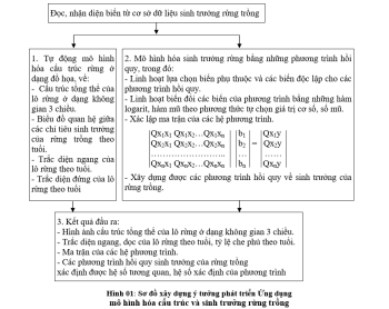 Phát triển Ứng dụng mô hình hóa cấu trúc và sinh trưởng rừng trồng