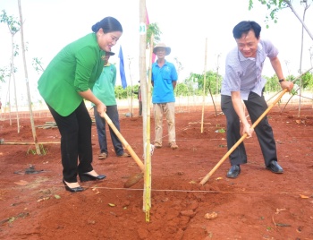 Bình Phước phát động trồng cây “Đời đời nhớ ơn Bác Hồ”