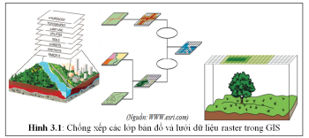 Mục tiêu, giải pháp kỹ thuật xây dựng Hệ thống dữ liệu chỉ dẫn địa lý hạt điều Bình Phước