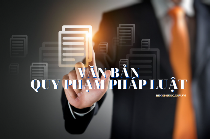 Văn bản quy phạm pháp luật do Chính phủ, Thủ tướng Chính phủ ban hành trong tháng 7/2021