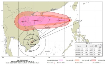 Thông tin về bão số 8 (Kompasu) 