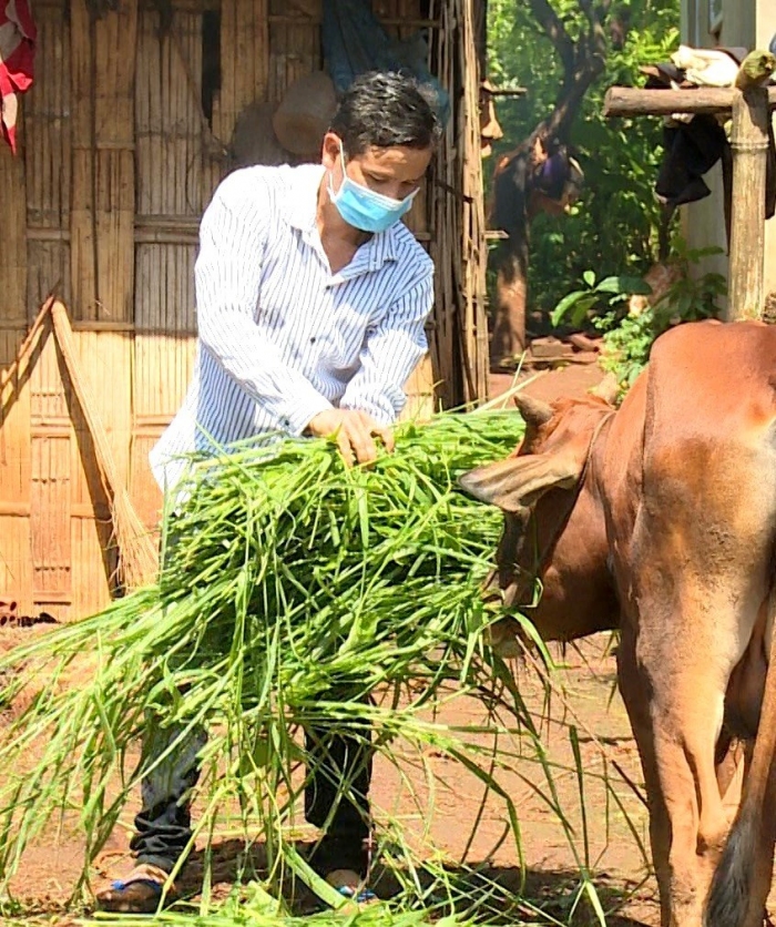 Bù Gia Mập có 1.137 hộ nghèo được vay vốn phát triển sản xuất