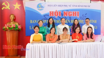 Hội Phụ nữ tỉnh tổng kết hoạt động công tác năm 2023, triển khai nhiệm vụ năm 2024