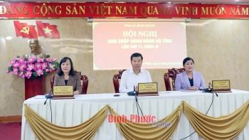 Hội nghị Ban Chấp hành Đảng bộ tỉnh lần thứ 17 thảo luận nhiều nội dung quan trọng