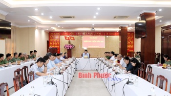 Bình Phước họp Ban chỉ đạo 12