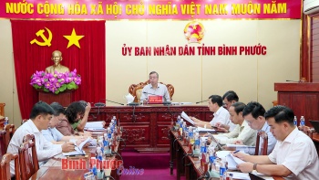 Phó Thủ tướng Chính phủ chỉ đạo điều chỉnh chỉ tiêu sử dụng đất quốc gia 5 năm 2021-2025