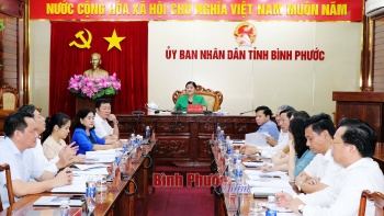 Họp tổ giúp việc Ban Chỉ đạo triển khai sắp xếp đơn vị hành chính cấp huyện, cấp xã