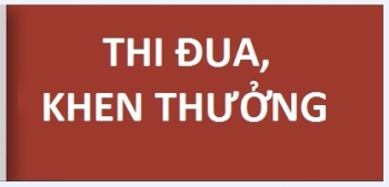 Quy định chi tiết thi hành một số điều của Luật Thi đua, khen thưởng