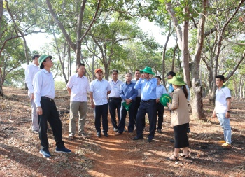 Bí thư Huyện uỷ Bù Đăng thăm các hợp tác xã