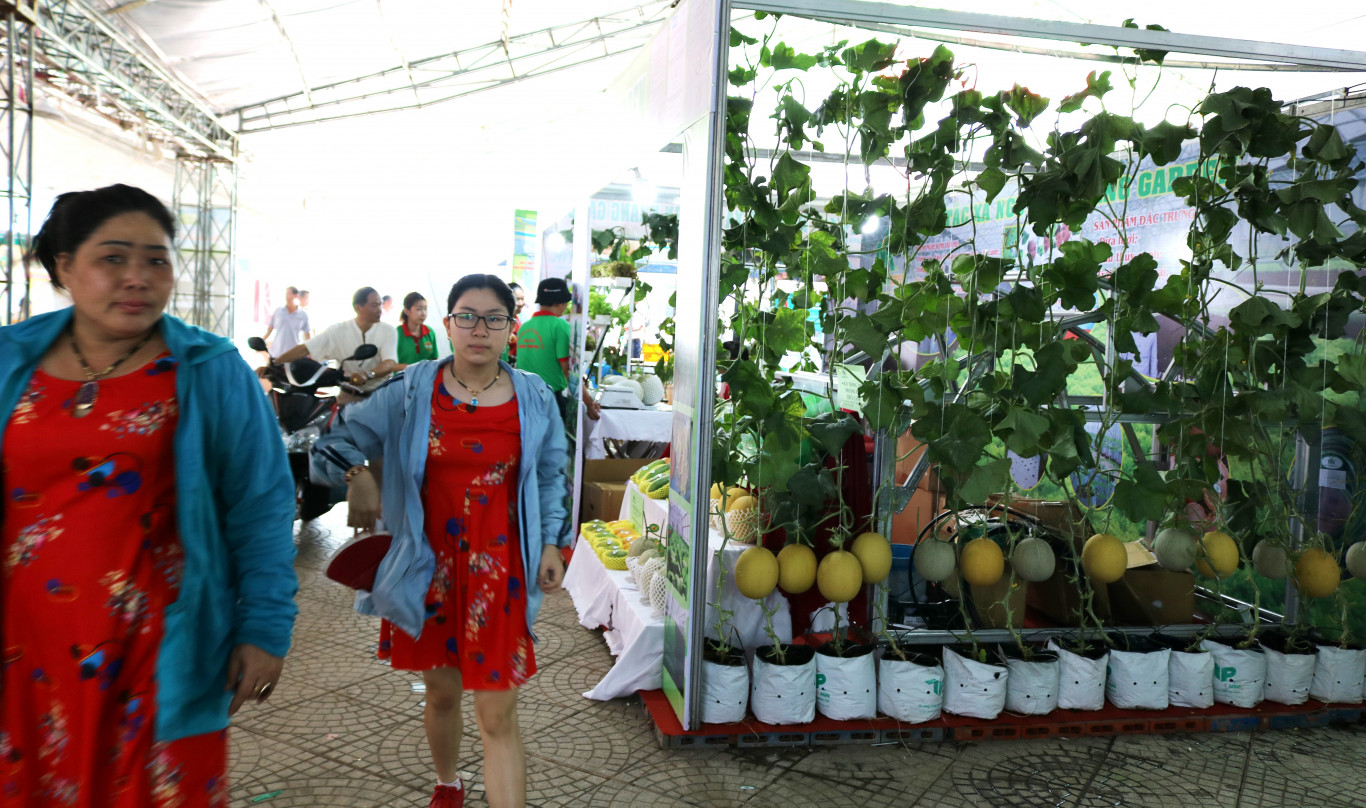 hoi cho hang nong san tinh