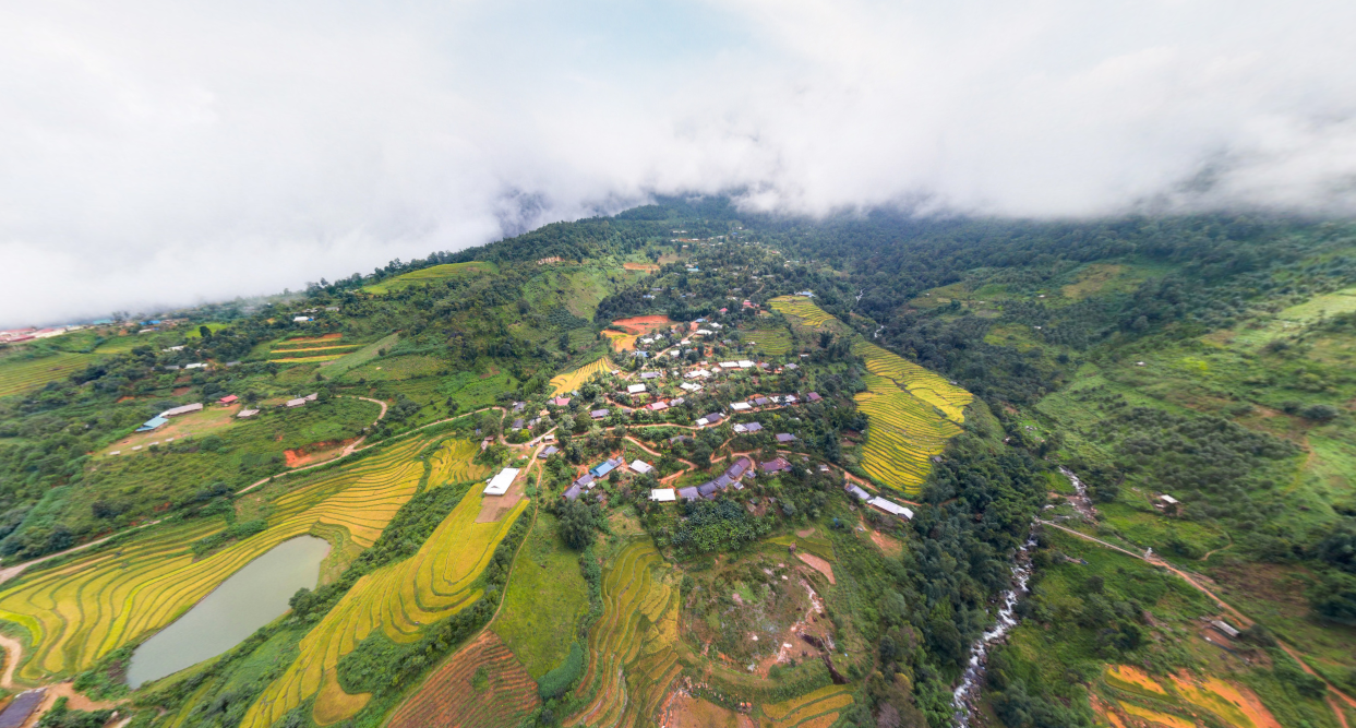 Lai chau