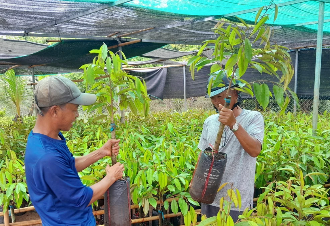 Nâng cao chất lượng hoạt động của Hội Nông dân trong giai đoạn mới