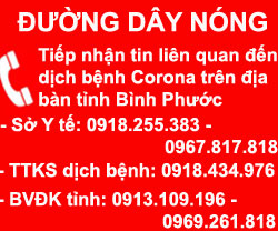 duongdaynongcorona a